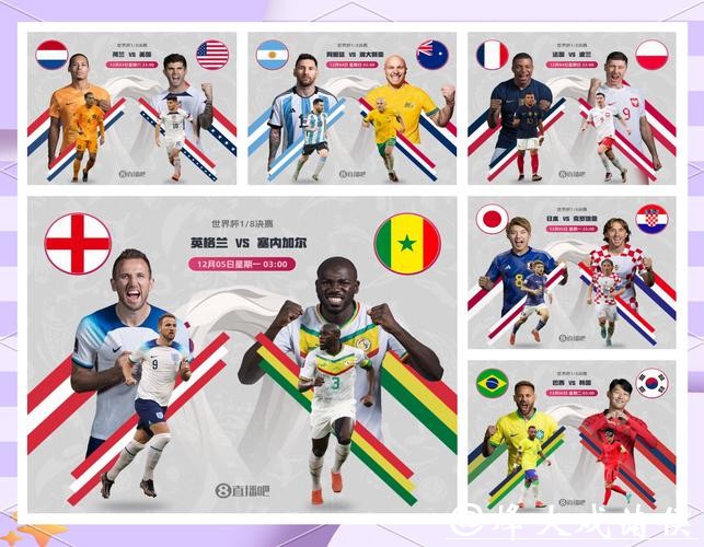 全面解析世界杯下注平台功能对比与选择